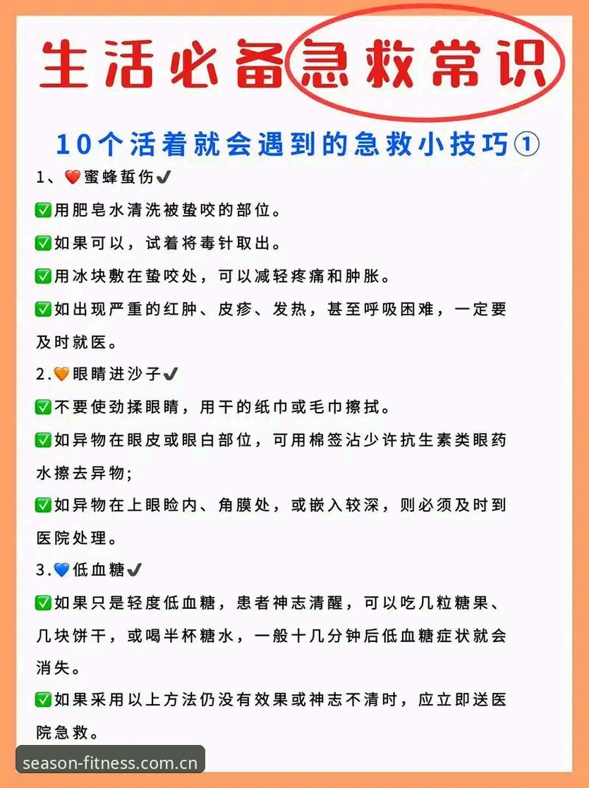 四季体育使用体验：老用户分享的实用技巧与必备知识